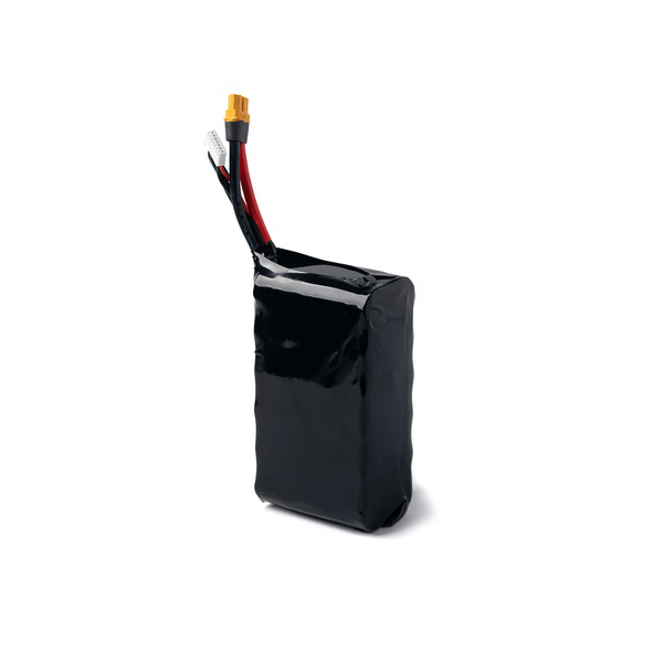 Акумуляторна батарея 6S2P - 10000 mAh Li-ion AK-00016 фото